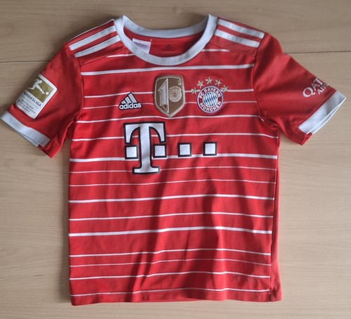 Bayern münchen lewandowski - fc,